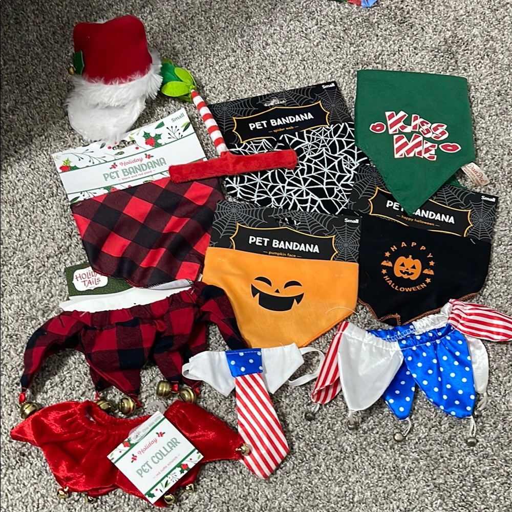 Festive pet Costume/ bandannas
